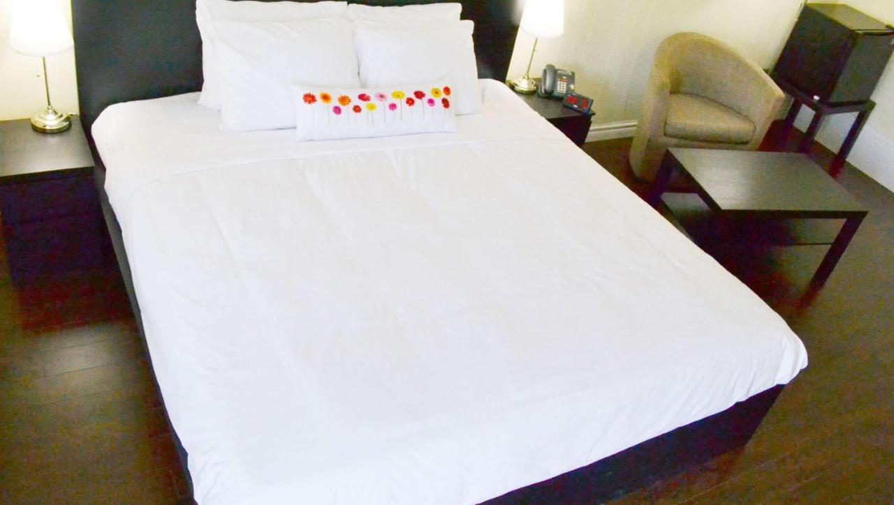 Magnuson Hotel Vow Palmerston Esterno foto